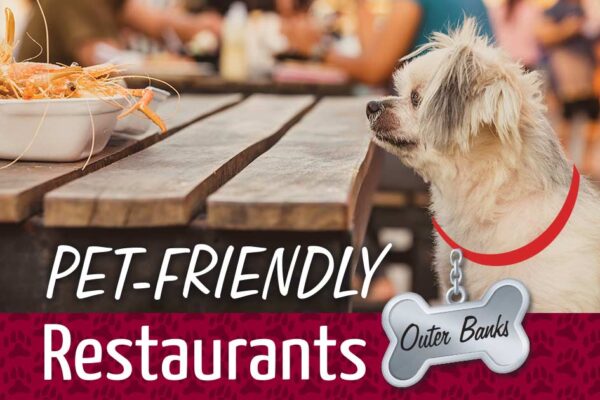 pet friendly restaurants near me