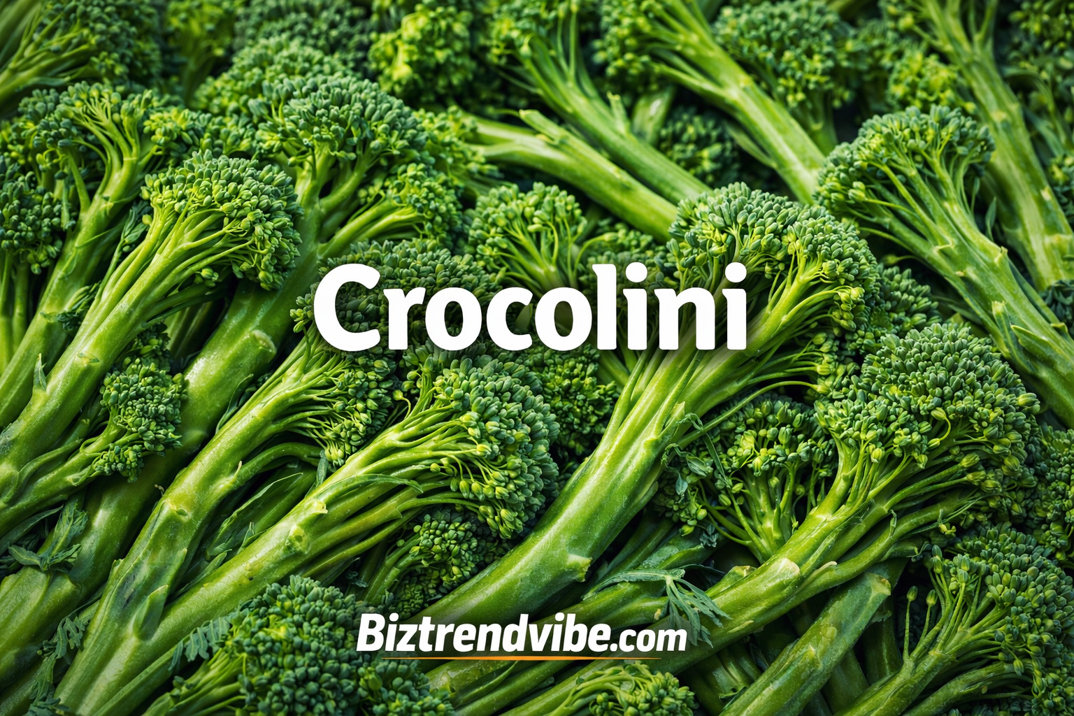 Crocolini